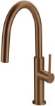 DEANTE - Kuchyňská baterie Evora, broušený bronz BQJ_C62M