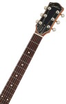 Godin Radium Winchester Brown RN