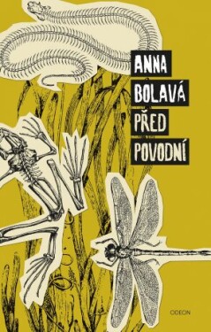 Před povodní - Anna Bolavá - e-kniha