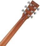 Tanglewood TP5 SE