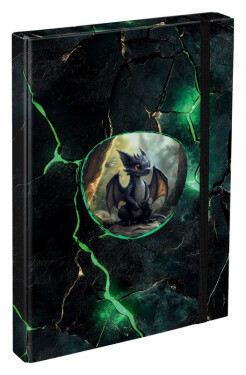 Desky na školní sešity A4 Draci