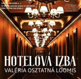 Hotelová izba - Valéria Osztatná Loomis