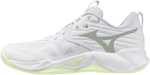 Volejbalová obuv Mizuno WAVE MOMENTUM PRO V1GC254085 Velikost obuvi v EU: 40,5