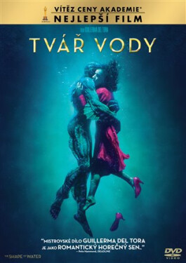 Tvář vody