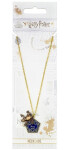 Harry Potter Náhrdelník - Čokoládová žabka, 1. vydání
