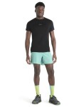 ICEBREAKER Mens Merino 125 Cool-Lite™ Speed SS Tee, Black velikost: L
