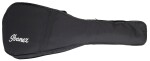Ibanez AW54JR Natural