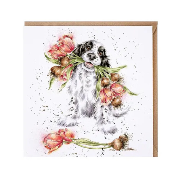 Přání Wrendale Designs Blooming with Love, 15x15 cm - Pes, kokršpaněl