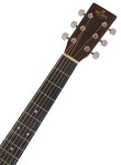 Sigma Guitars DT-ST-WF