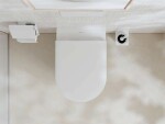 HANSGROHE - EluPura S Závěsné WC se sedátkem SoftClose, AquaFall, HygieneEffect, bílá 62021450