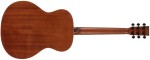 Tanglewood TS3