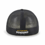 Pittsburgh Penguins ’47