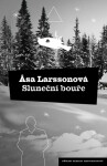 Sluneční bouře - Äsa Larssonová - e-kniha