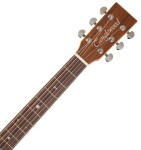Tanglewood TW15 R