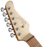 Cort G300 PRO MGD