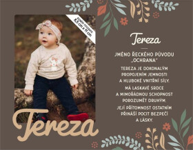 66_Fotorámeček se jménem_Tereza - Albi