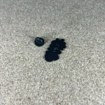 Pinarna.cz Kytičky okolo zkumavky