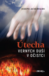 Útecha verných duší v očistci - Joseph Ackermann