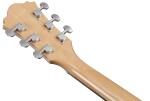 Ibanez AE170R Natural