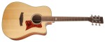 Tanglewood TSP 15 CE