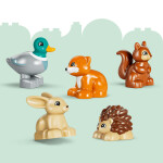 LEGO LEGO® DUPLO® 10480 Les plný objevů a divokých zvířátek