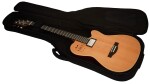 Godin A6 Ultra Natural SG (použité)