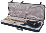 Fender American Professional II Stratocaster HSS RW DK NIT