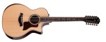 Taylor 854ce