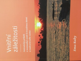 Vnitřní záležitosti: Autentický příběh nesnadné cestě trvalému štěstí nalezení sama sebe Kuby Ema