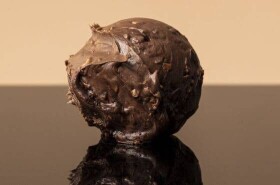 Dortisimo Bakels Ganache s kousky lískových oříšků (0,5 kg)