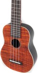 Ovation UCS10P-KOAE-G