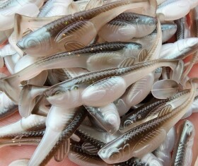 Libra Lures Gumová nástraha Embrion Shad 2″ 10ks - Magic Ayu 129,Libra Lures Gumová nástraha Embrion Shad 2″ 10ks - Magic Ayu 129