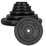 Litinové závaží 2,5 kg Spokey Sinis SPK-944483 2,5 kg