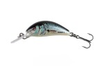 Salmo Wobler Hornet Sinking Real Dace,Salmo Wobler Hornet Sinking Real Dace