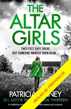 Křídla ve sněhu - Patricia Gibneyová