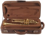Bacio Instruments BTR-200GR