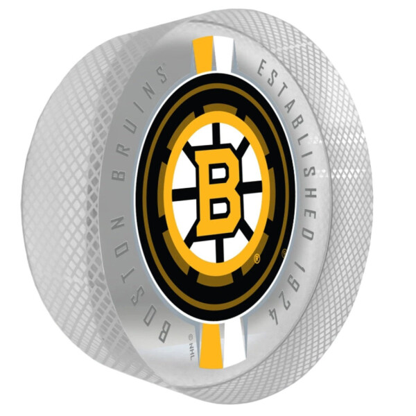 Mustang Puk Boston Bruins NHL Crystal Ribbon