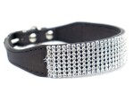 Daily obojek pro psa s kamínky | 27 - 37 cm Barva: Červená, Obvod krku: 31 - 37 cm