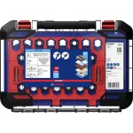 Bosch Accessories 2608901908 2608901908 sada děrovacích pil 1 ks