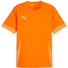 Puma teamGoal Matchday Jersey M 705747 08 pánské L