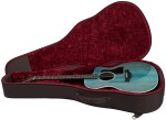 Taylor 214ce Plus Special Edition Blue