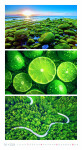 Nástěnný kalendář 2026 Graspo - Colours