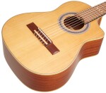 Ortega RQ39