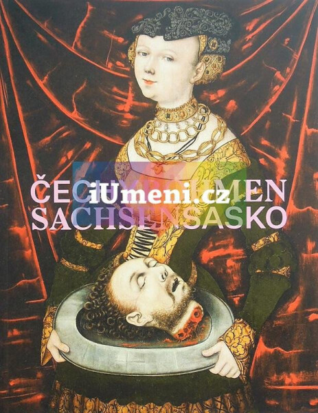 Čechy - Sasko. Jak blízko, tak daleko - Marius Winzeler