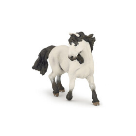 Kůň Camargue