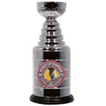 Minipohár CHICAGO BLACKHAWKS 2015 STANLEY CUP CHAMPIONS