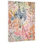2026 DP 12 / Anemone / Midi / Vertical