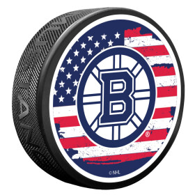 Mustang Puk Boston Bruins NHL Patriot