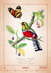 Nástěnný kalendář 2026 Helma - Aviarium, 31,5 x 45 cm
