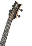 Ortega Neo Tenor Ukulele TGB